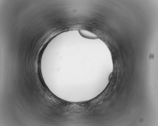 X0000098110290200805021139