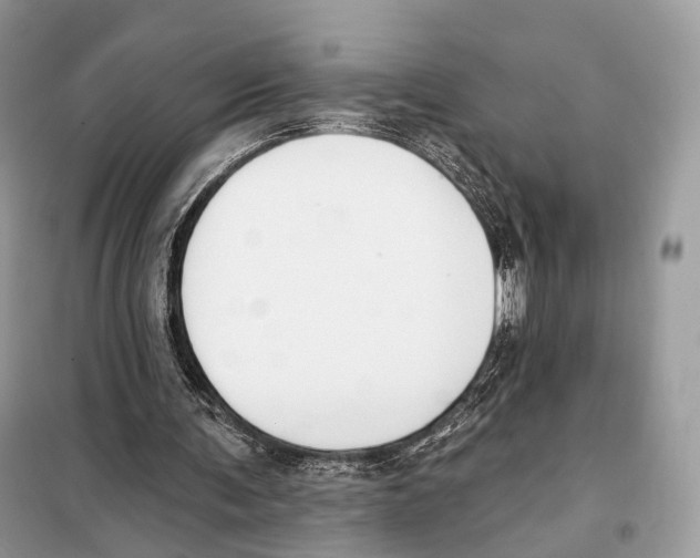 X0000098110291200805021139