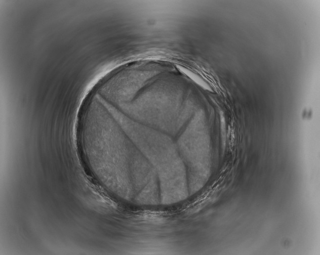 X0000098110292200805021139