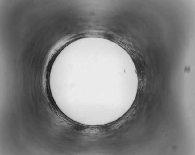 X0000098110294200805021139