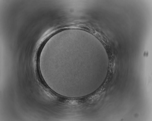 X0000098110295200805021139