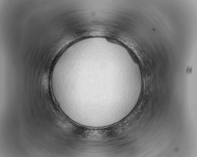 X0000098110297200805021139