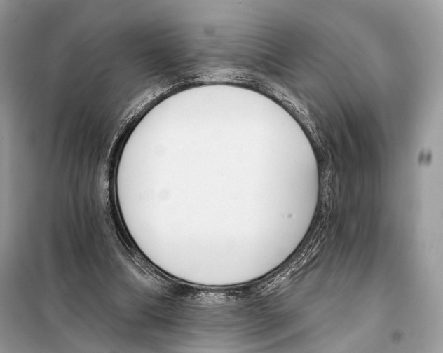 X0000098110298200805021139