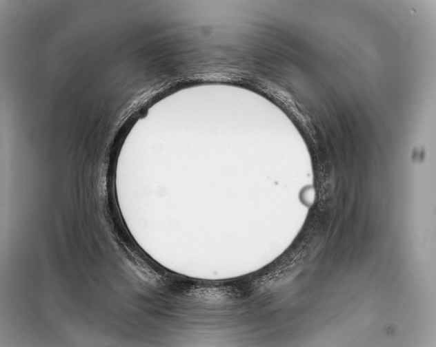 X0000098110299200805021139