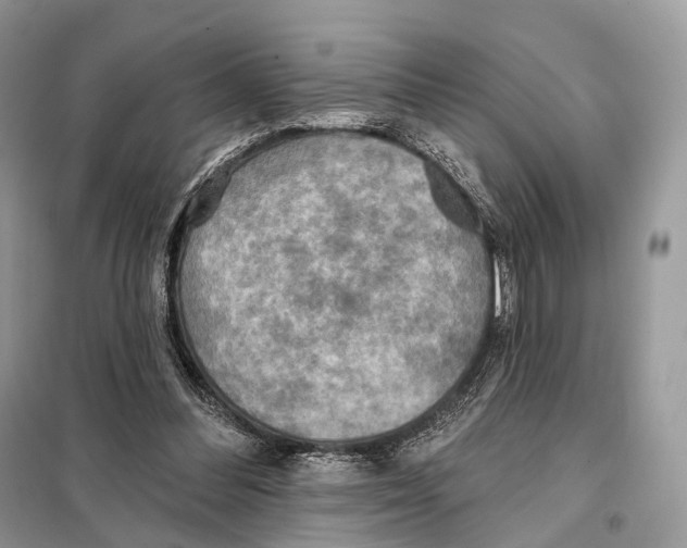 X0000098110300200805021139