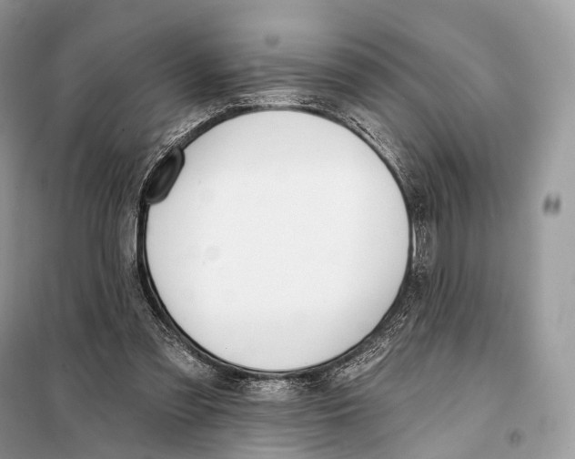 X0000098110301200805021139