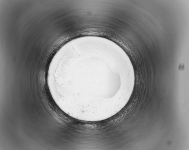 X0000098110302200805021139