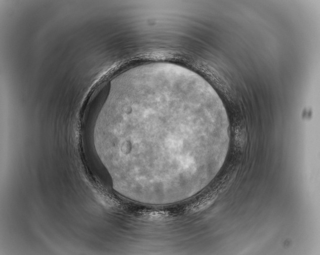 X0000098110304200805021139