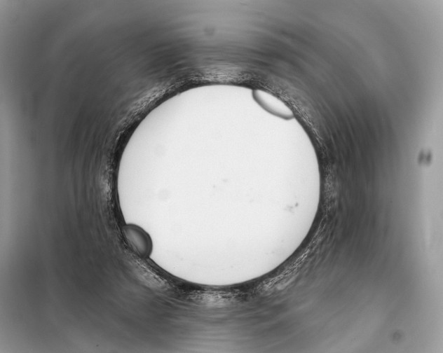 X0000098110305200805021139