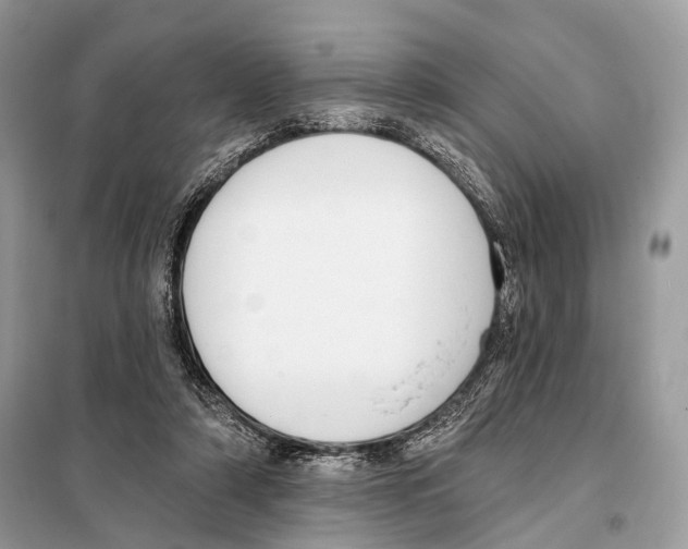 X0000098110306200805021139