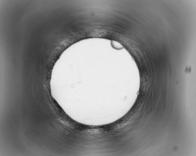 X0000098110307200805021139