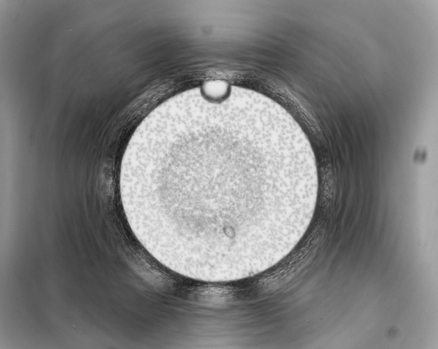 X0000098110313200805021139