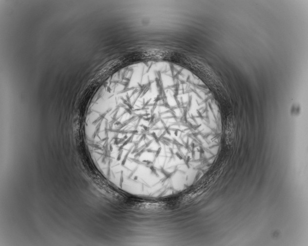 X0000098110314200805021139