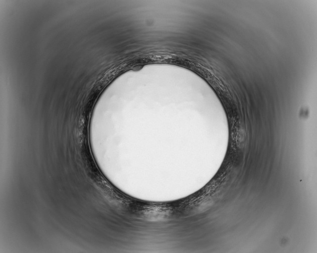 X0000098110319200805021139