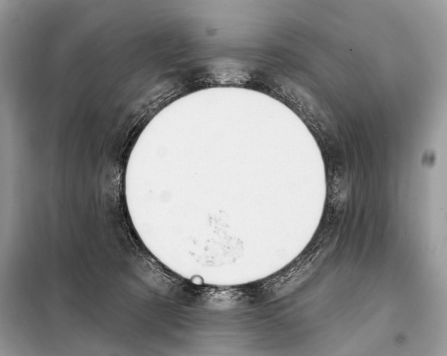 X0000098110321200805021139