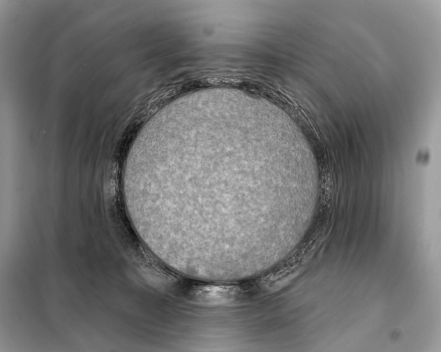 X0000098110323200805021139