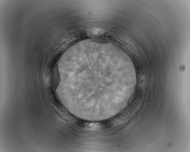 X0000098110324200805021139