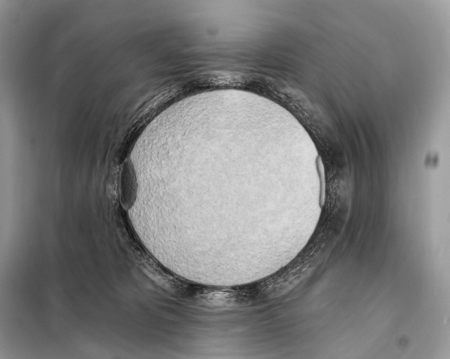 X0000098110325200805021139