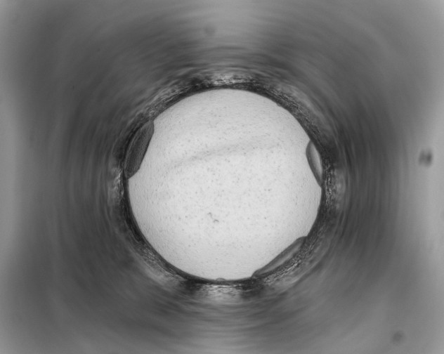 X0000098110327200805021139