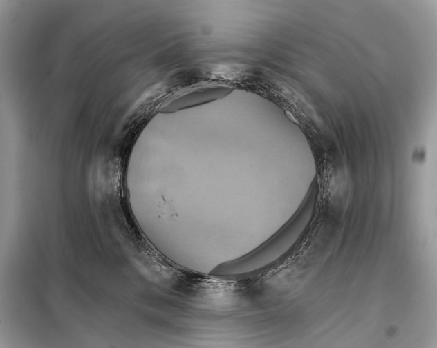 X0000098110328200805021138