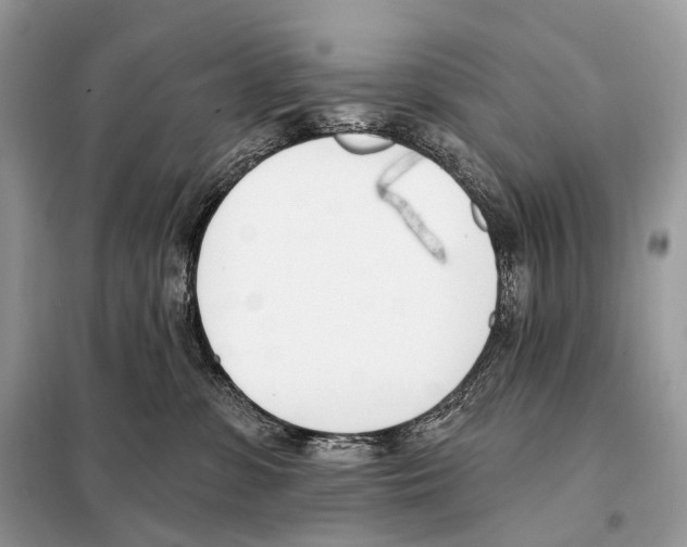 X0000098110331200805021138