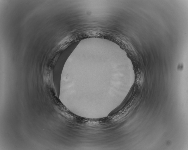 X0000098110332200805021138