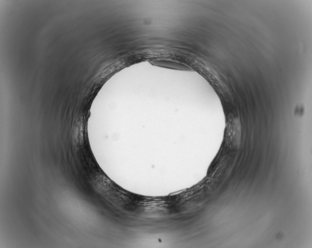 X0000098110333200805021138