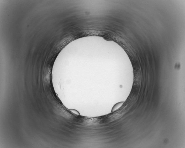 X0000098110334200805021138