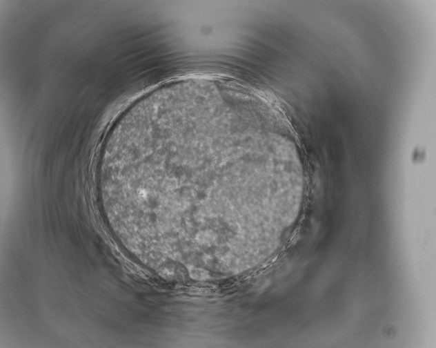 X0000098110337200805021138