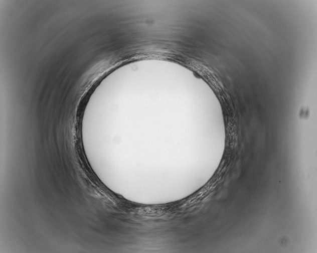 X0000098110338200805021138