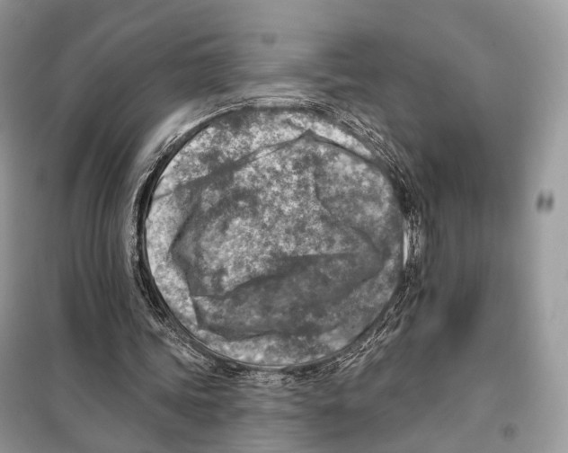 X0000098110339200805021138