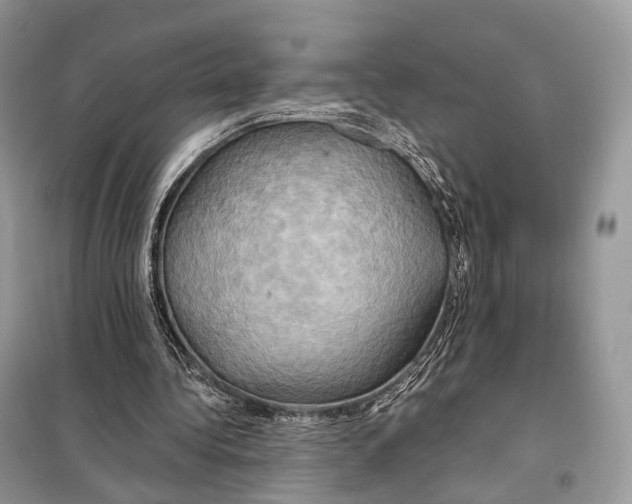 X0000098110340200805021138