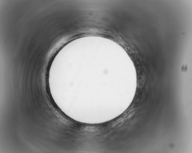 X0000098110341200805021138