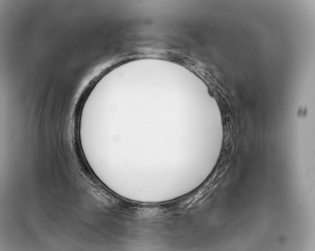 X0000098110342200805021138