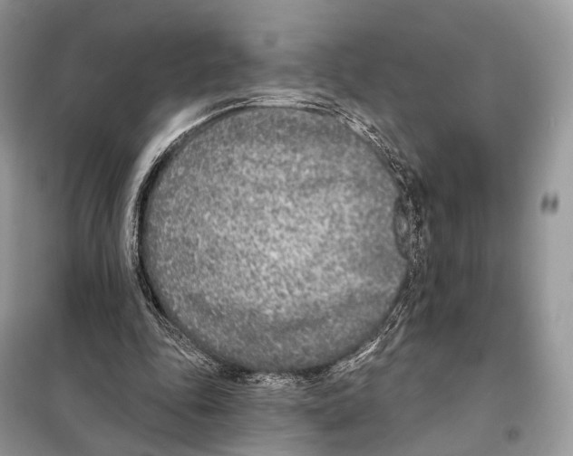 X0000098110343200805021138