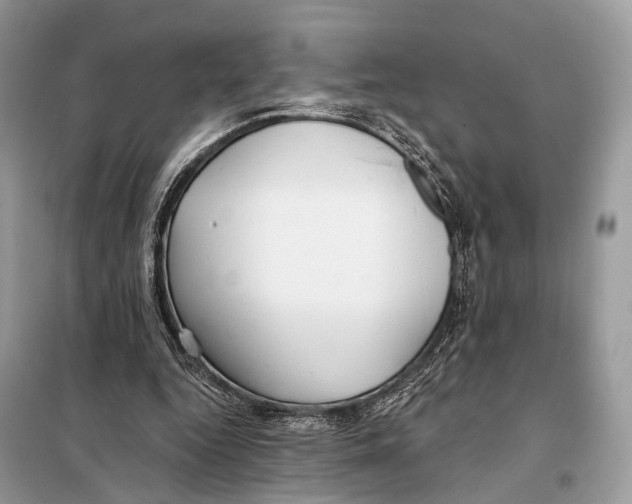 X0000098110344200805021138