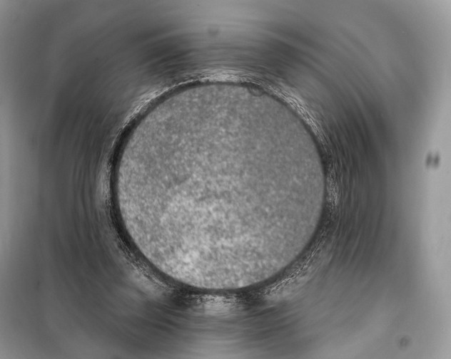 X0000098110347200805021138