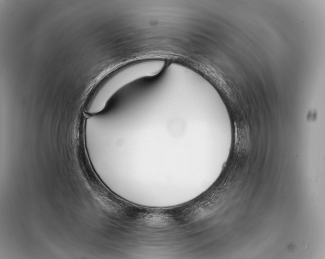 X0000098110348200805021138