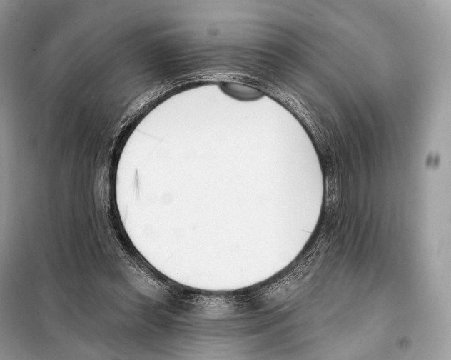 X0000098110349200805021138