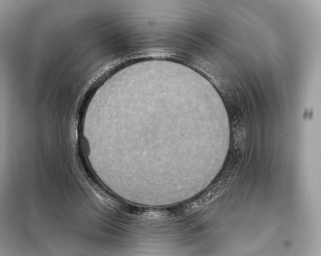 X0000098110350200805021138