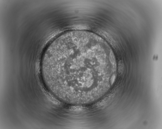 X0000098110351200805021138