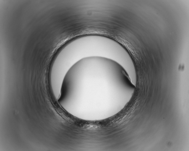 X0000098110352200805021138