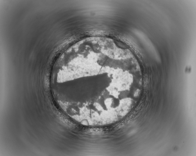 X0000098110353200805021138