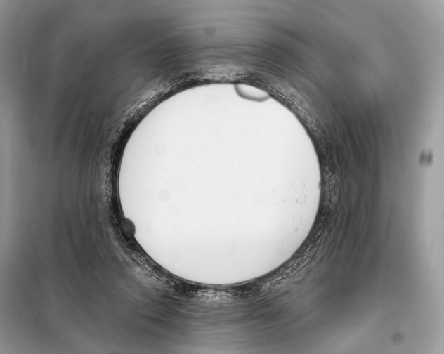 X0000098110354200805021138