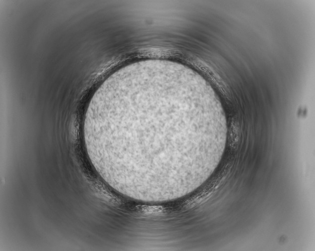 X0000098110355200805021138