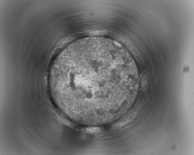 X0000098110357200805021138