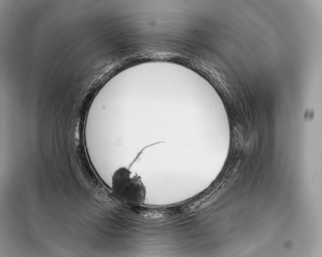 X0000098110358200805021138