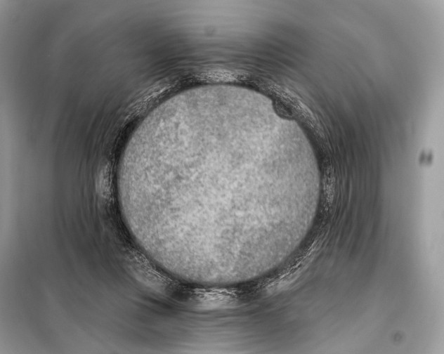 X0000098110359200805021138