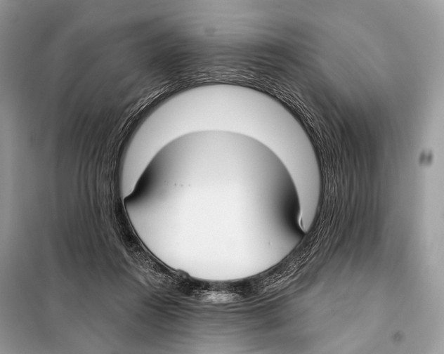 X0000098110360200805021138