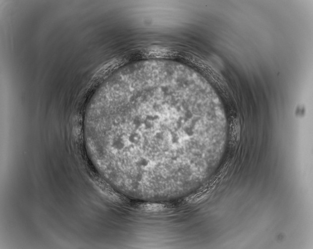 X0000098110361200805021138